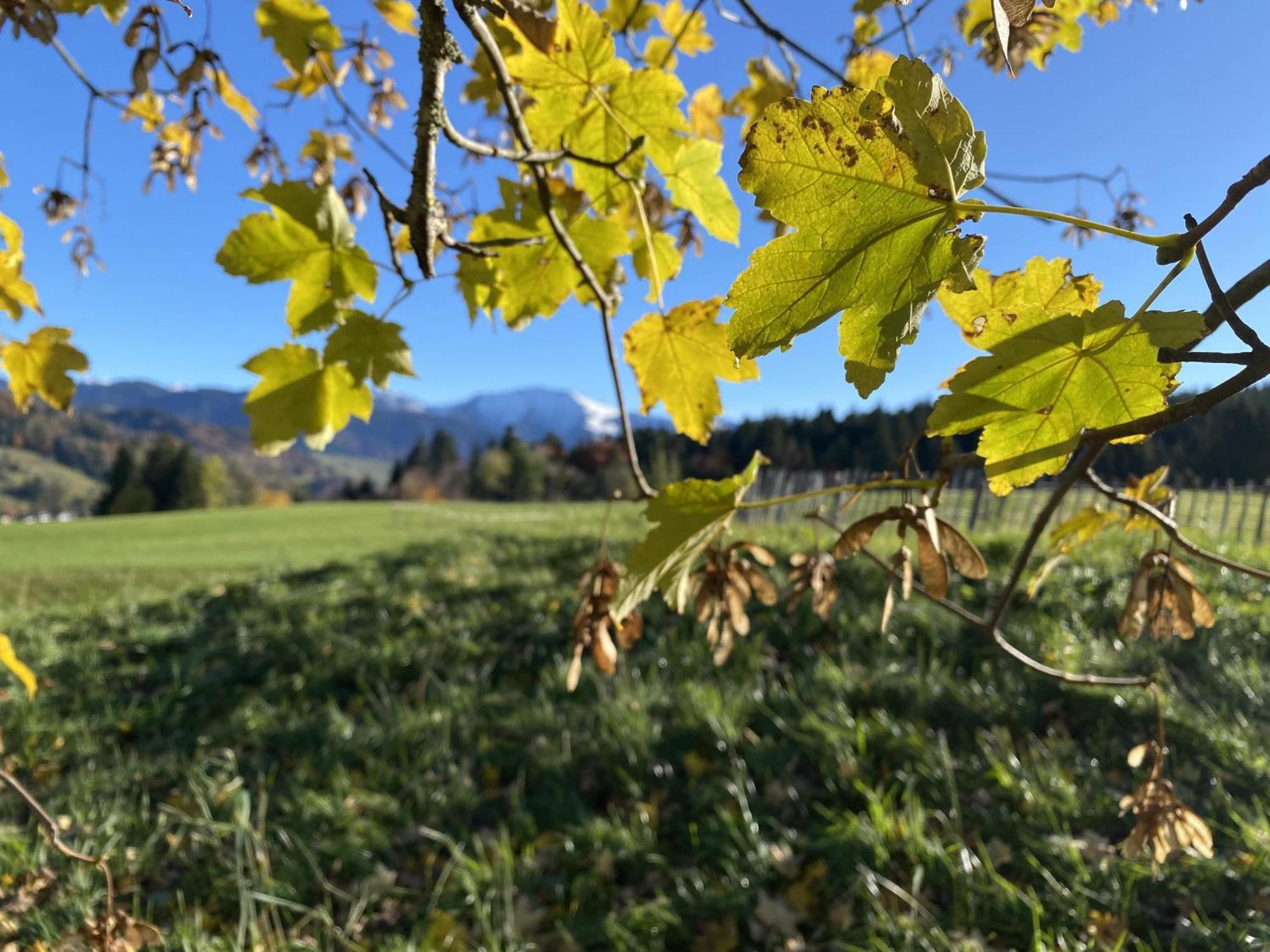 Gaehwindehof Mountain Ranch Resort 오버스타우펜 외부 사진